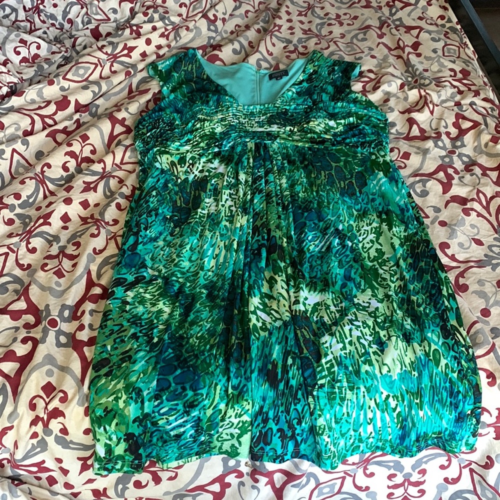 Size 22W green DRY CLEAN sleeveless dress